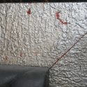 IMG_2907
