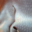 IMG_2950